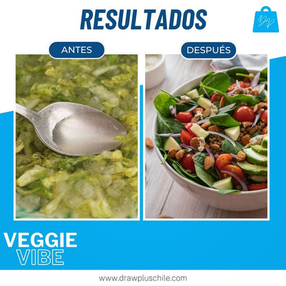 Secadora centrifuga de ensaladas - VeggieVibe™