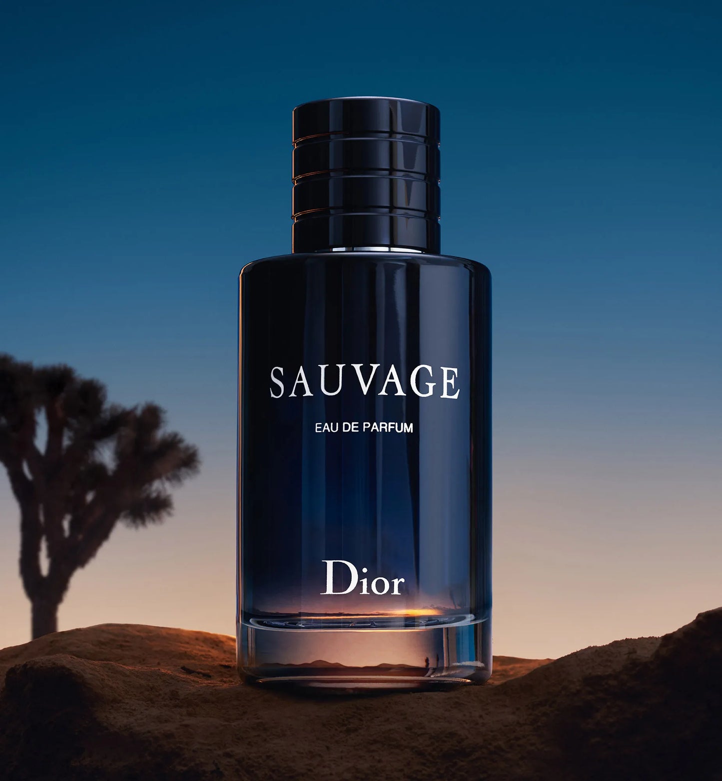 Sauvage™ - Perfume para hombre 100ML